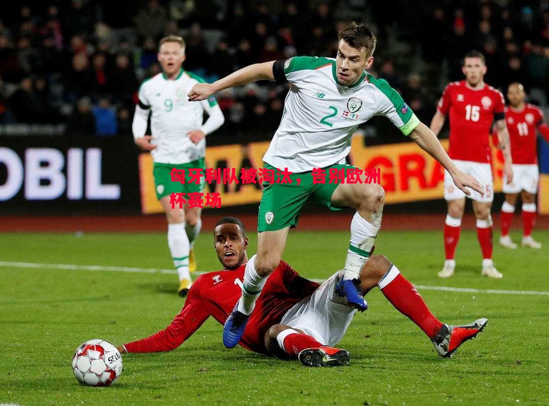 V体育官网-匈牙利队被淘汰，告别欧洲杯赛场