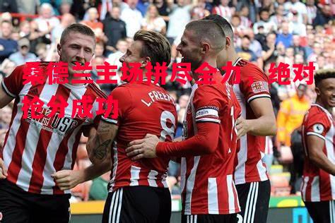 vsports体育-桑德兰主场拼尽全力，绝对抢分成功