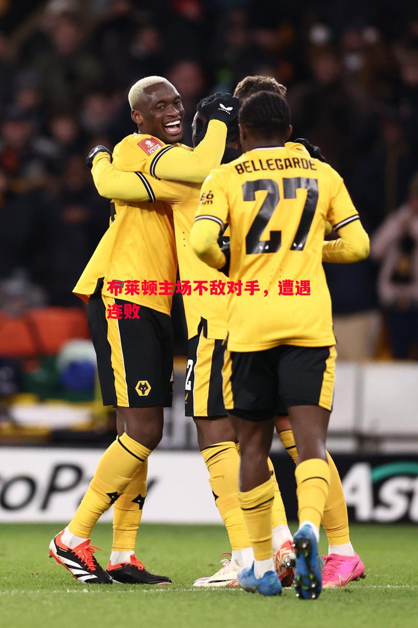 vsports体育-布莱顿主场不敌对手，遭遇连败