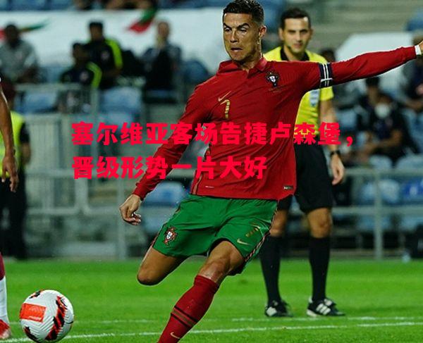 vsports体育-塞尔维亚客场告捷卢森堡，晋级形势一片大好