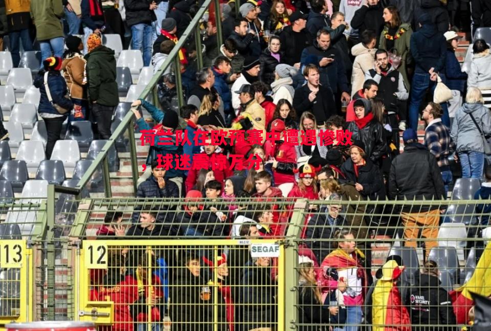 V体育官网-荷兰队在欧预赛中遭遇惨败，球迷震惊万分