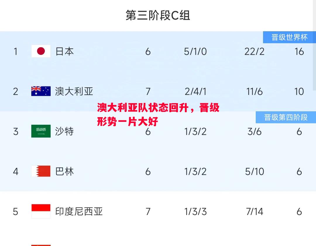 V体育-澳大利亚队状态回升，晋级形势一片大好