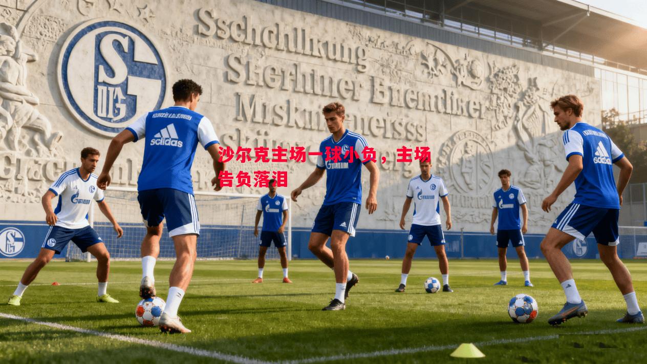 沙尔克主场一球小负，主场告负落泪